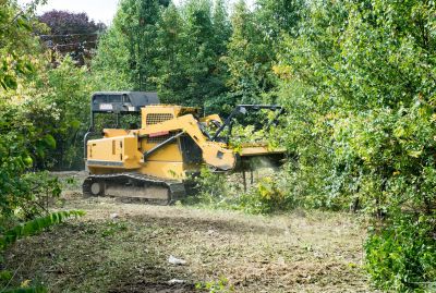 Pool Land Clearing in Katy, TX